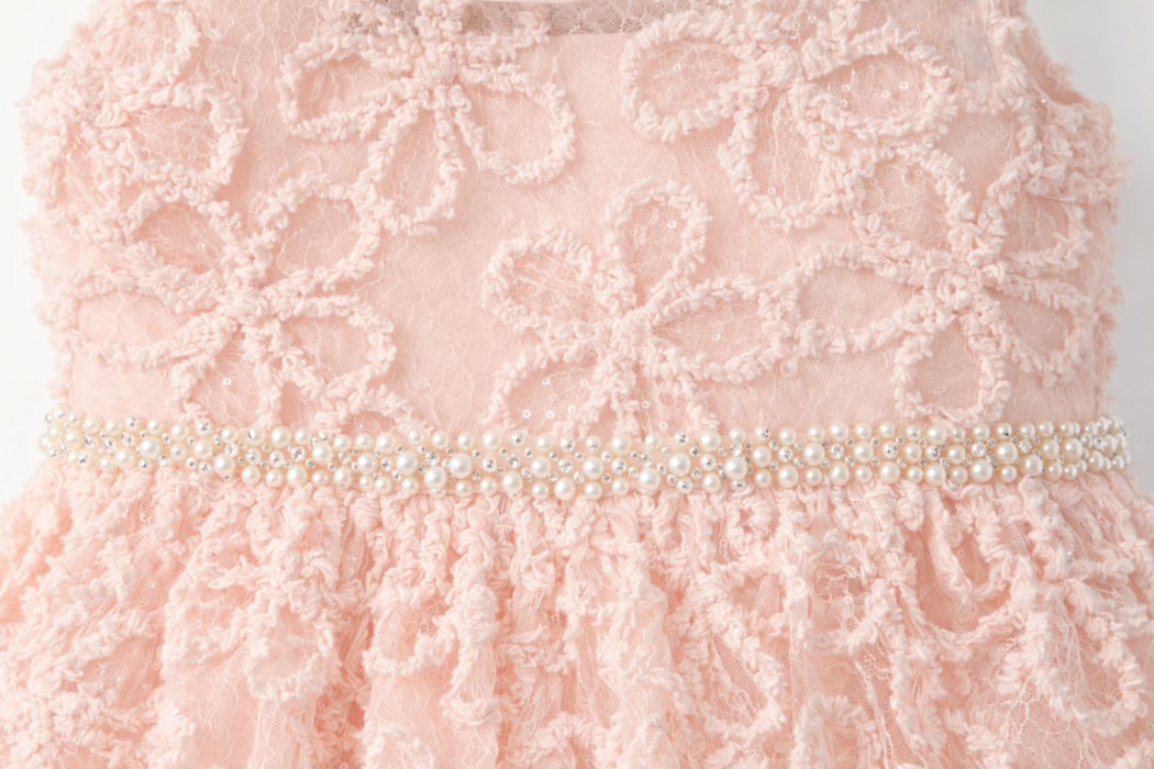 6FABD185-CE92-4661-9FC6-ED89BB47E8CF American Princess Girls Floral Lace Party Dress Age 6 | City Nest Kids